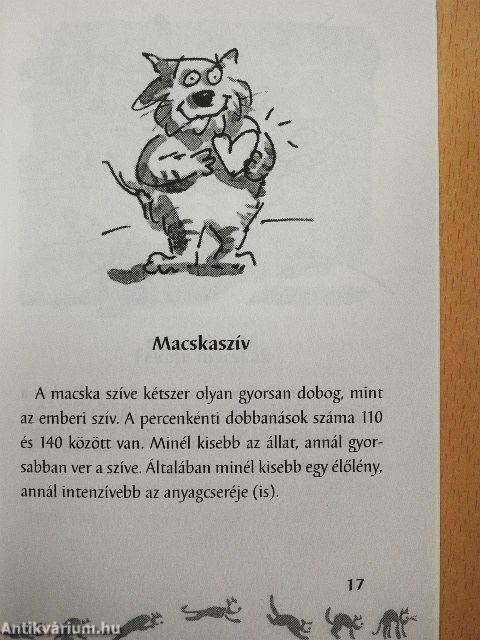 MacskaParádé