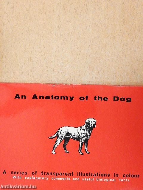 An Anatomy of the Dog