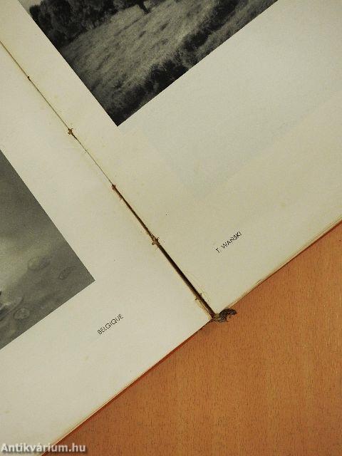 Die Galerie Jänner-Dezember 1935.