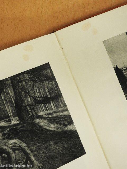 Die Galerie Jänner-Dezember 1935.