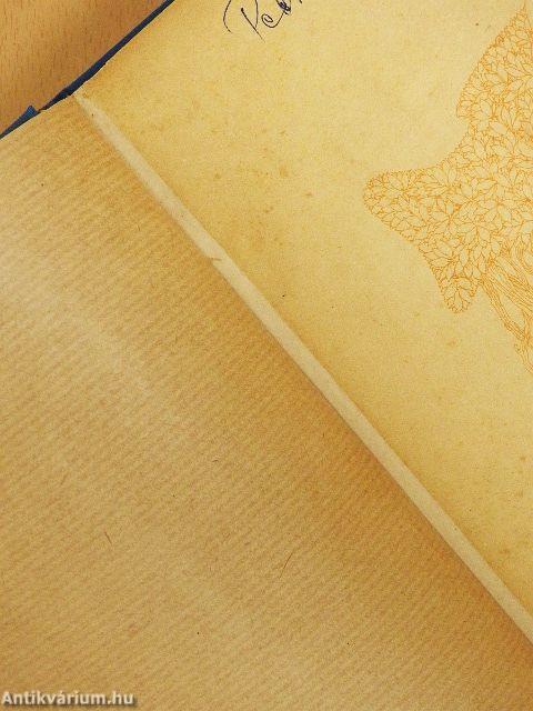 Hoffmanns Erzählungen/Peer Gynt