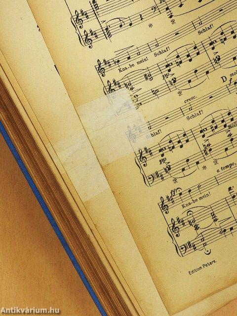 Hoffmanns Erzählungen/Peer Gynt