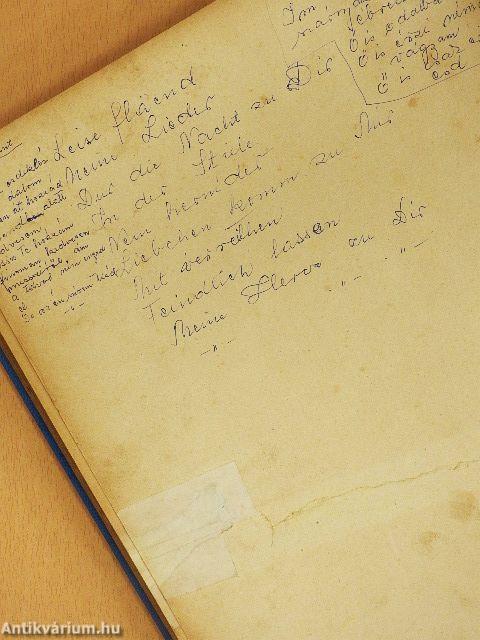 Hoffmanns Erzählungen/Peer Gynt