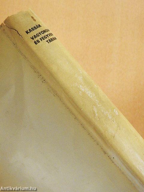 Vagyonom és fegyvertáram