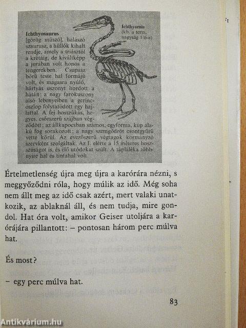 Az ember a holocénban jelenik meg 