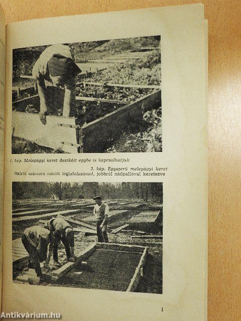 Zöldségfélék korai termesztése