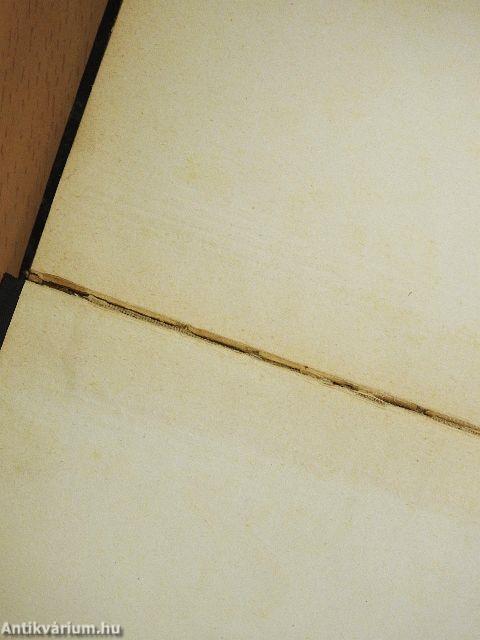 N. N. - egy szerelem-gyermek regénye/A betyár álma és más elbeszélések