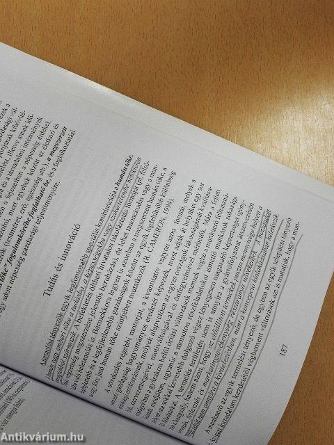 Fejezetek az általános társadalmi földrajz tanulmányozásához 2.