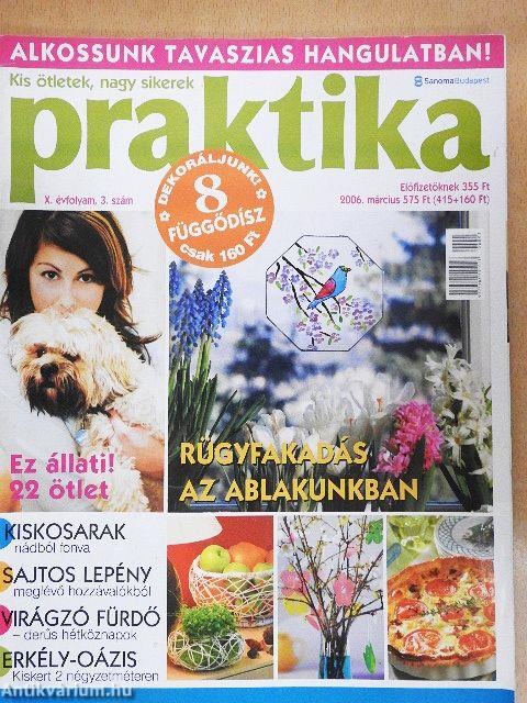 Praktika 2006. március