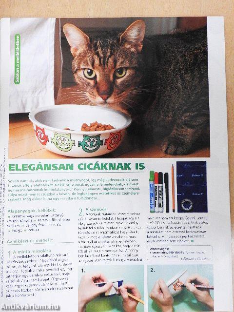 Praktika 2006. március