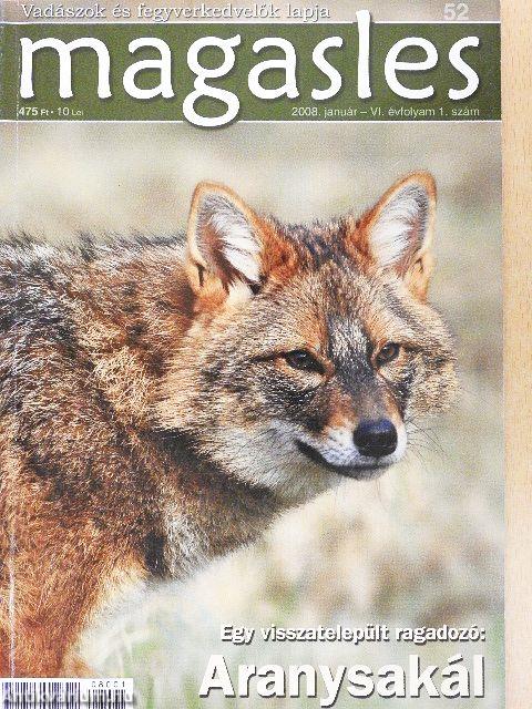 Magasles 2008. január