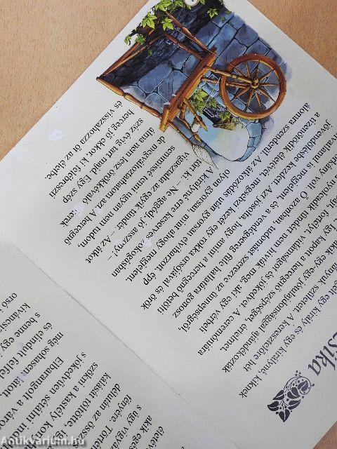 Csipkerózsika/Aladdin és a csodalámpa