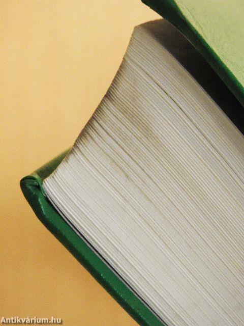 Magyar-olasz szótár