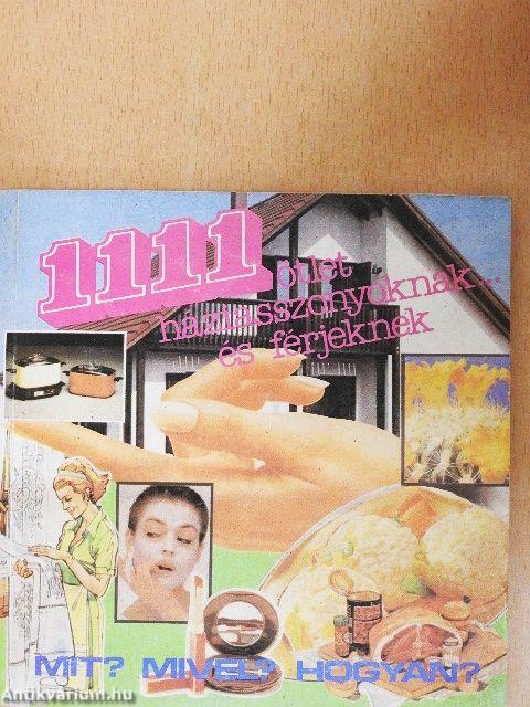 1111 ötlet háziasszonyoknak és férjeknek