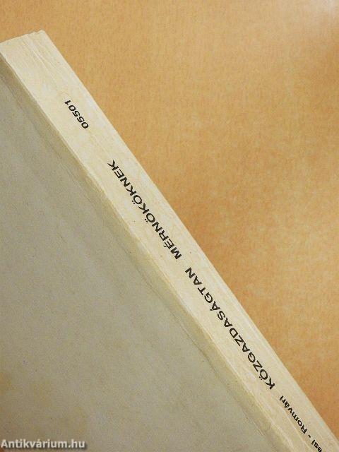 Közgazdaságtan mérnököknek