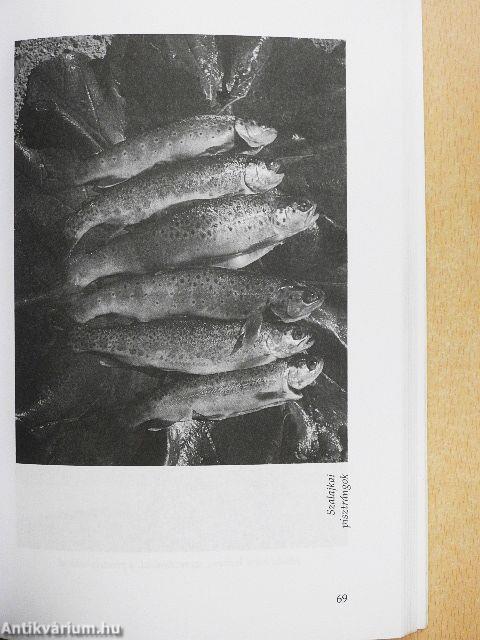 Bogrács és nyárs a vízparton