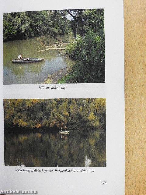 Bogrács és nyárs a vízparton