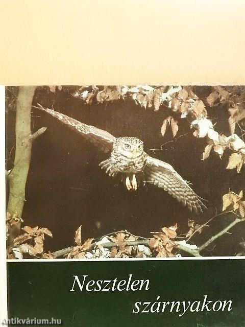 Nesztelen szárnyakon