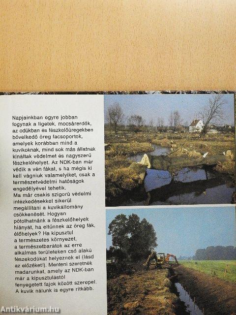 Nesztelen szárnyakon