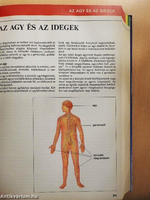 Nagy egészségkönyv