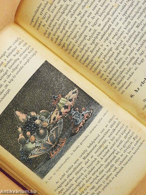 Háztartási és nevelési ismeretek 