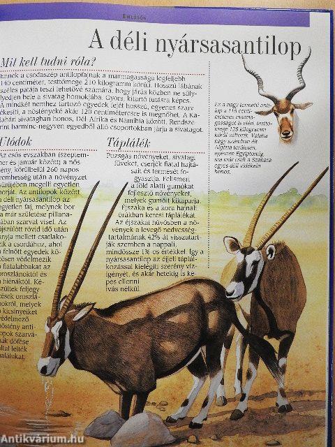 Az afrikai sivatagok és Madagaszkár állatvilága