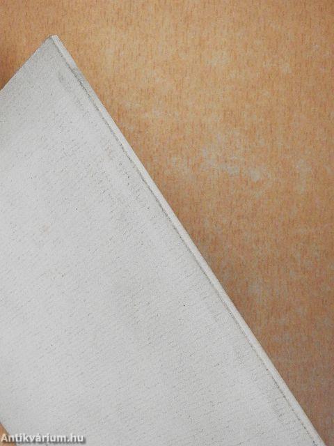 Lichtenberg in Seiner Stube