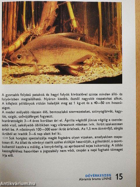 A hazai halakról