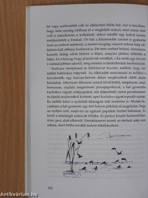 Bogrács és nyárs a vízparton