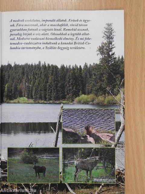 Magasles 2008. január