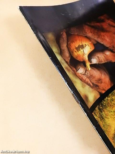 Fotó 1982. március