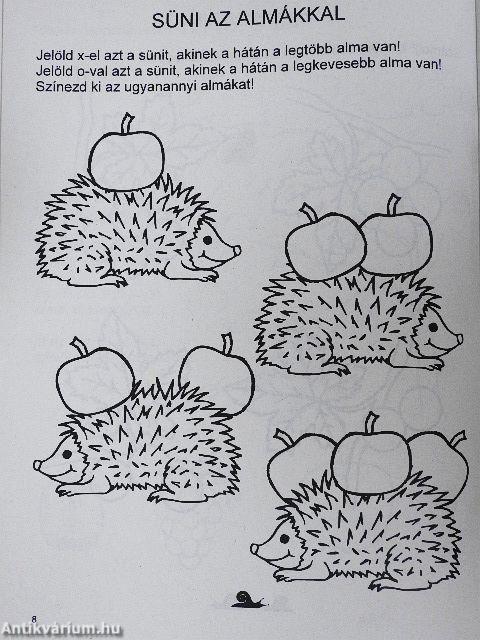 Biga-csiga 2004. október