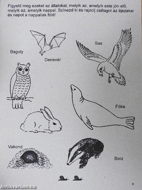 Biga-csiga 2004. május