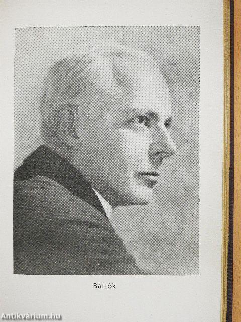 Vezető a zene világában