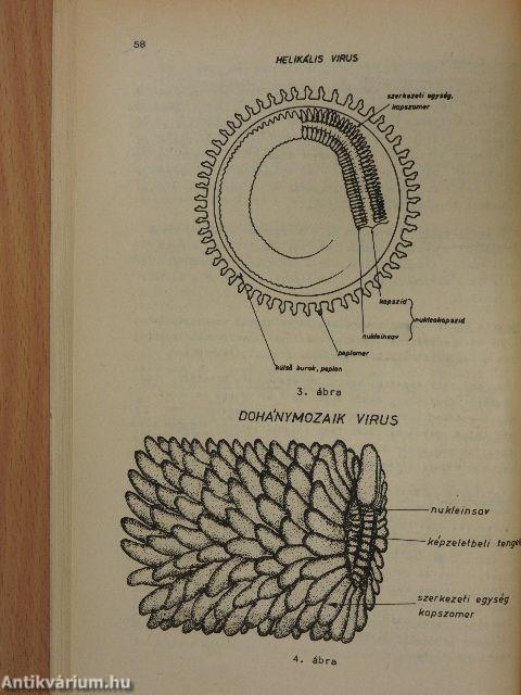 Mezőgazdasági mikrobiológia I.
