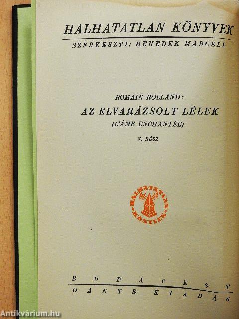 Az elvarázsolt lélek V.