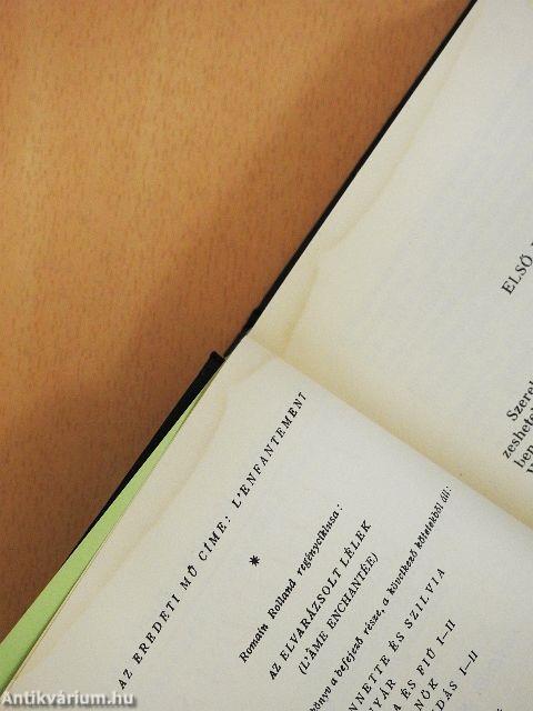 Az elvarázsolt lélek V.