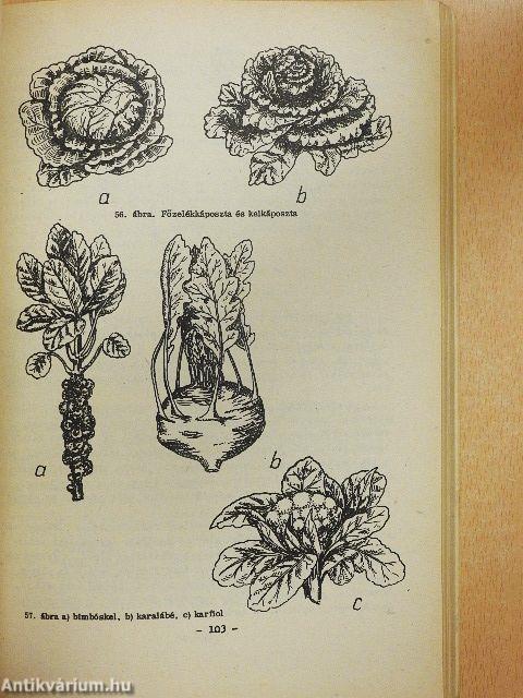 Biológiai alapfogalmak