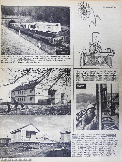 Tükör 1973. március 13.