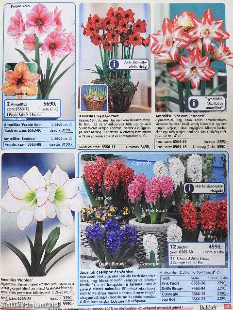 Bakker katalógus 2013 ősz