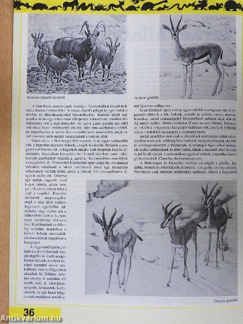 A Természet 1994/2.