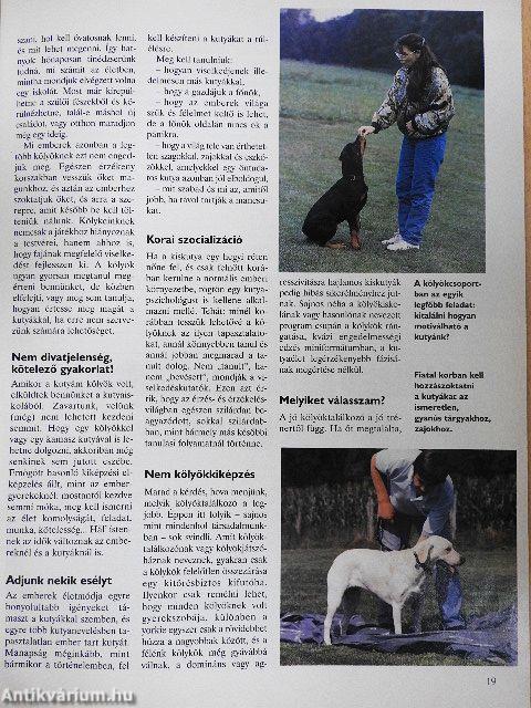 Nemzetközi Kutya Magazin 1998. június