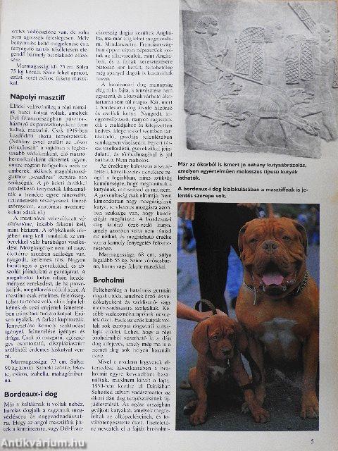 Nemzetközi Kutya Magazin 1998. augusztus