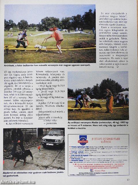 Nemzetközi Kutya Magazin 1998. augusztus