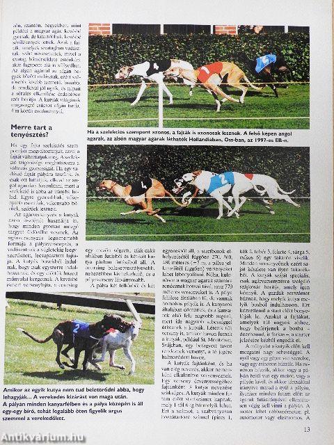 Nemzetközi Kutya Magazin 1998. szeptember