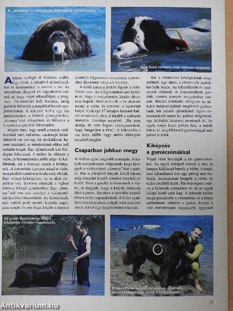 Nemzetközi Kutya Magazin 1998. november