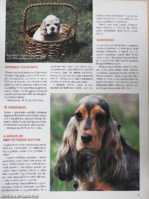 Nemzetközi Kutya Magazin 1998. december