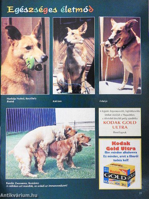 Nemzetközi Kutya Magazin 2003. április