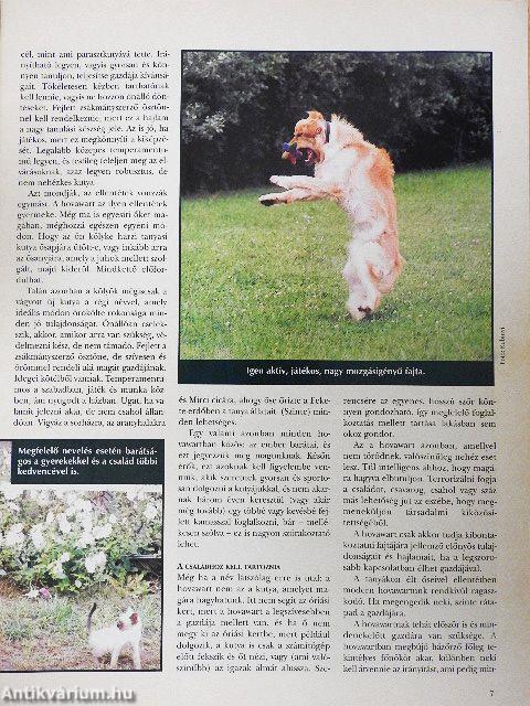Nemzetközi Kutya Magazin 2003. április