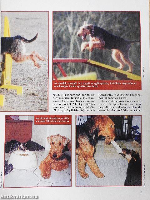 Nemzetközi Kutya Magazin 2003. január